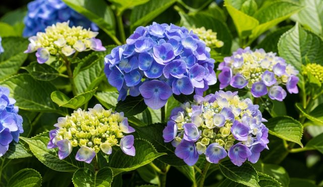 her mevsime uygun çiçekler